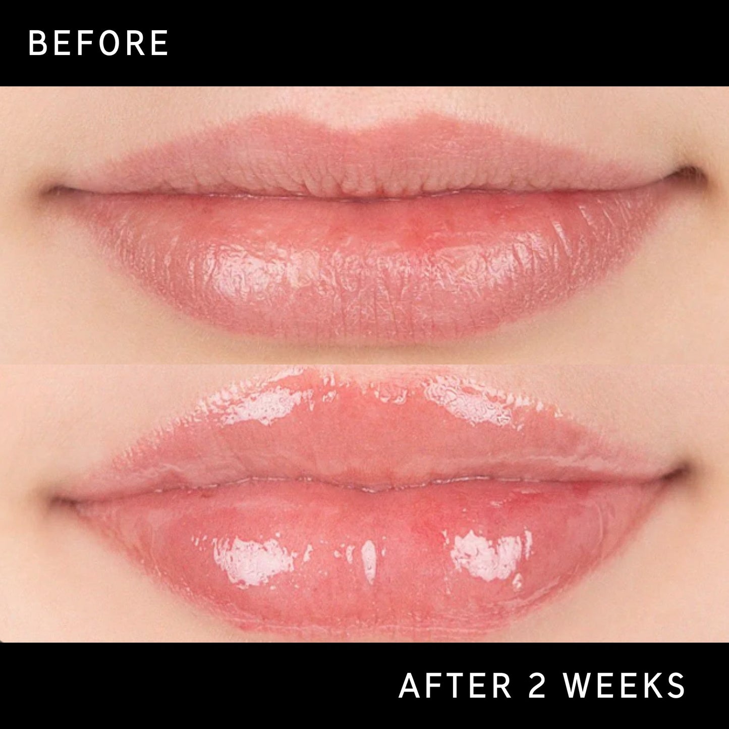 lip-plumping-duo-v8 DTC-Top15_Amends_Tripeptide-Lip_B_A.jpg